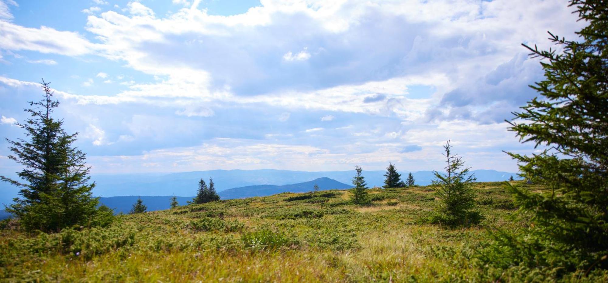Viceroy Kopaonik Serbia Bagian luar foto View from the summit of Mount Rogers